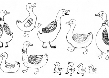Enten