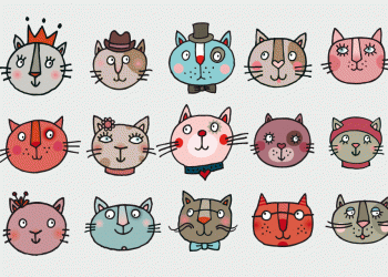 Katzen-Portraits